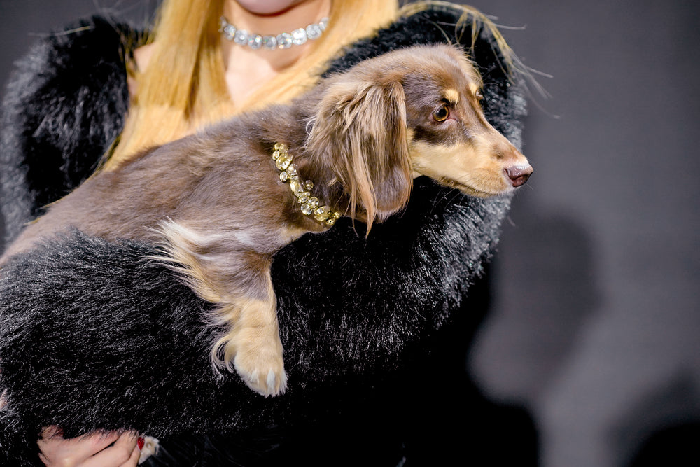 PET IT ON Cluster Necklace - Honey Citrine Yellow - ARTĒ Madrid