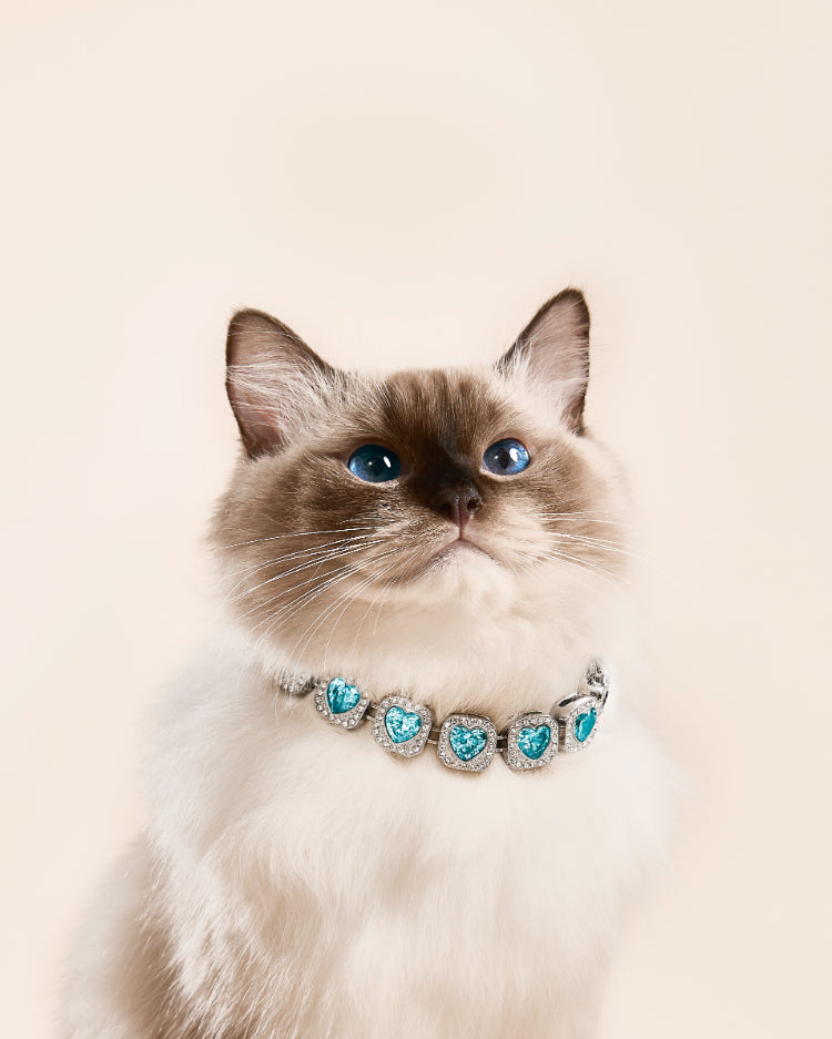 PET IT ON Heart-shaped Rivière Necklace - Paraiba Blue - ARTĒ Madrid