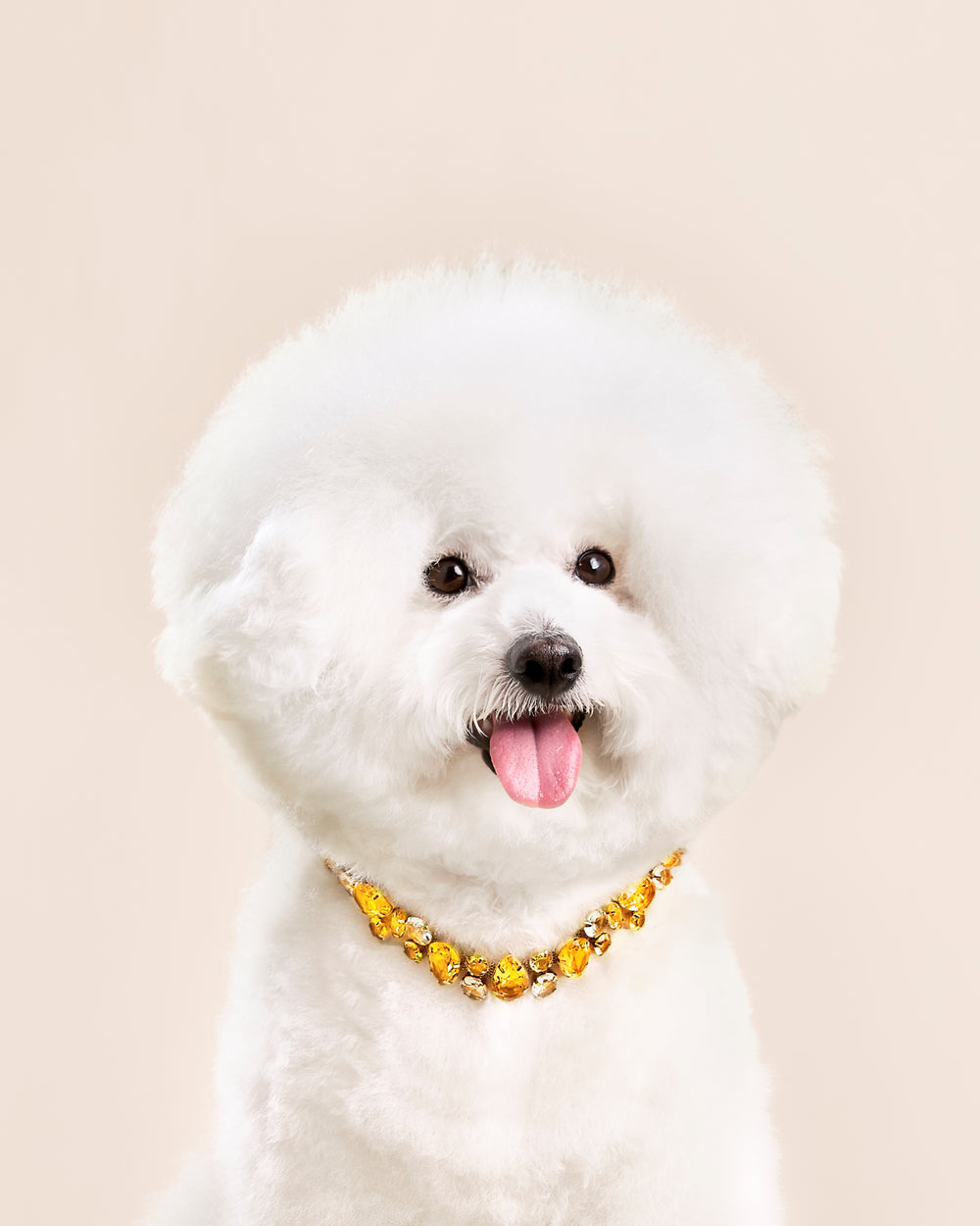 PET IT ON Cluster Necklace - Citrine Yellow - ARTĒ Madrid