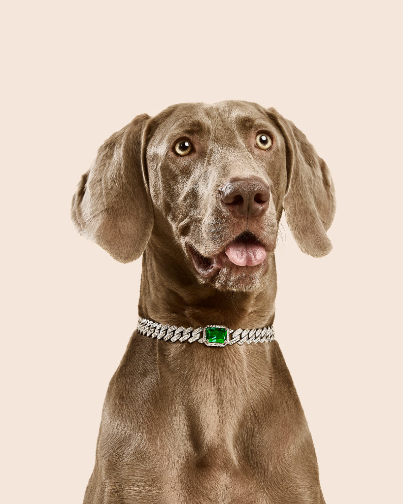 PET IT ON Angular Cuban Chain Choker Necklace - Emerald Green - ARTĒ Madrid