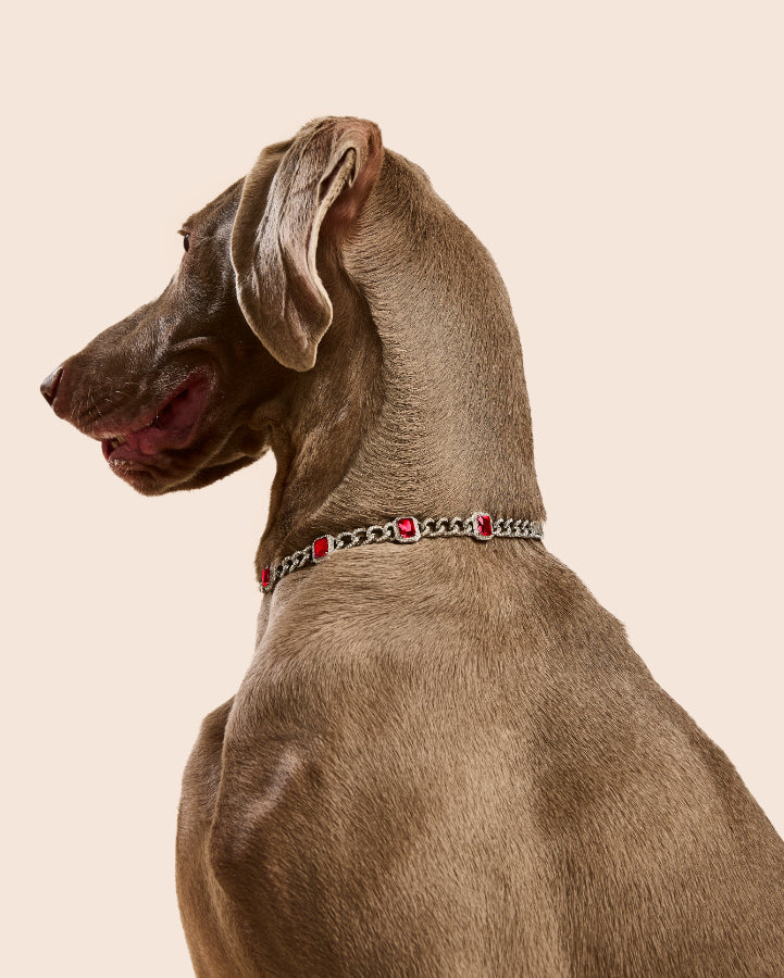 PET IT ON Cuban Chain Necklace - Ruby Red - ARTĒ Madrid