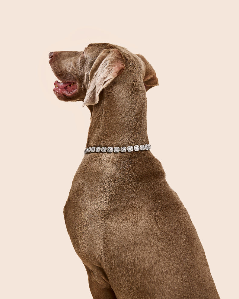 PET IT ON Heart-shaped Rivière Necklace - White - ARTĒ Madrid